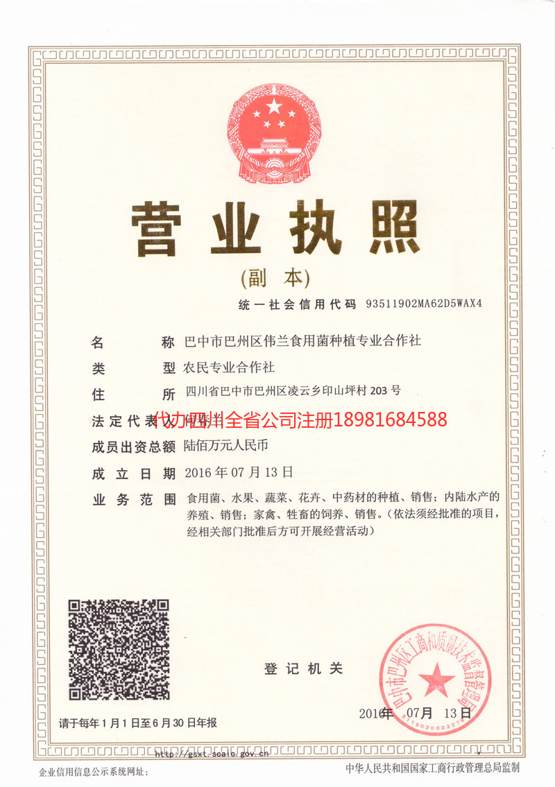 天长天长伟兰食用菌种植专业合作社